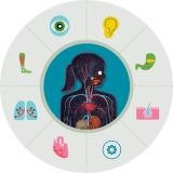 The Human Body Lab by Tinybop official gameplay screenshot 1